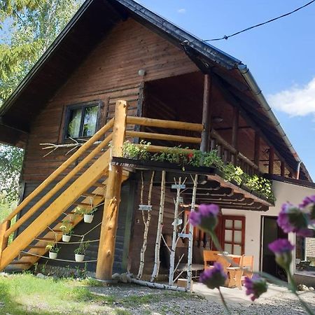 Pensiunea Padina Bran  Dış mekan fotoğraf