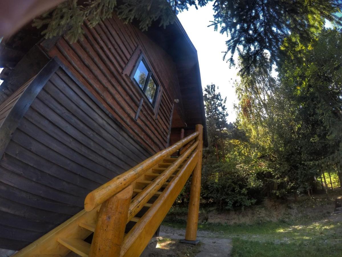 Pensiunea Padina Bran  Dış mekan fotoğraf