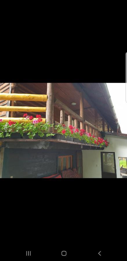 Pensiunea Padina Bran  Dış mekan fotoğraf