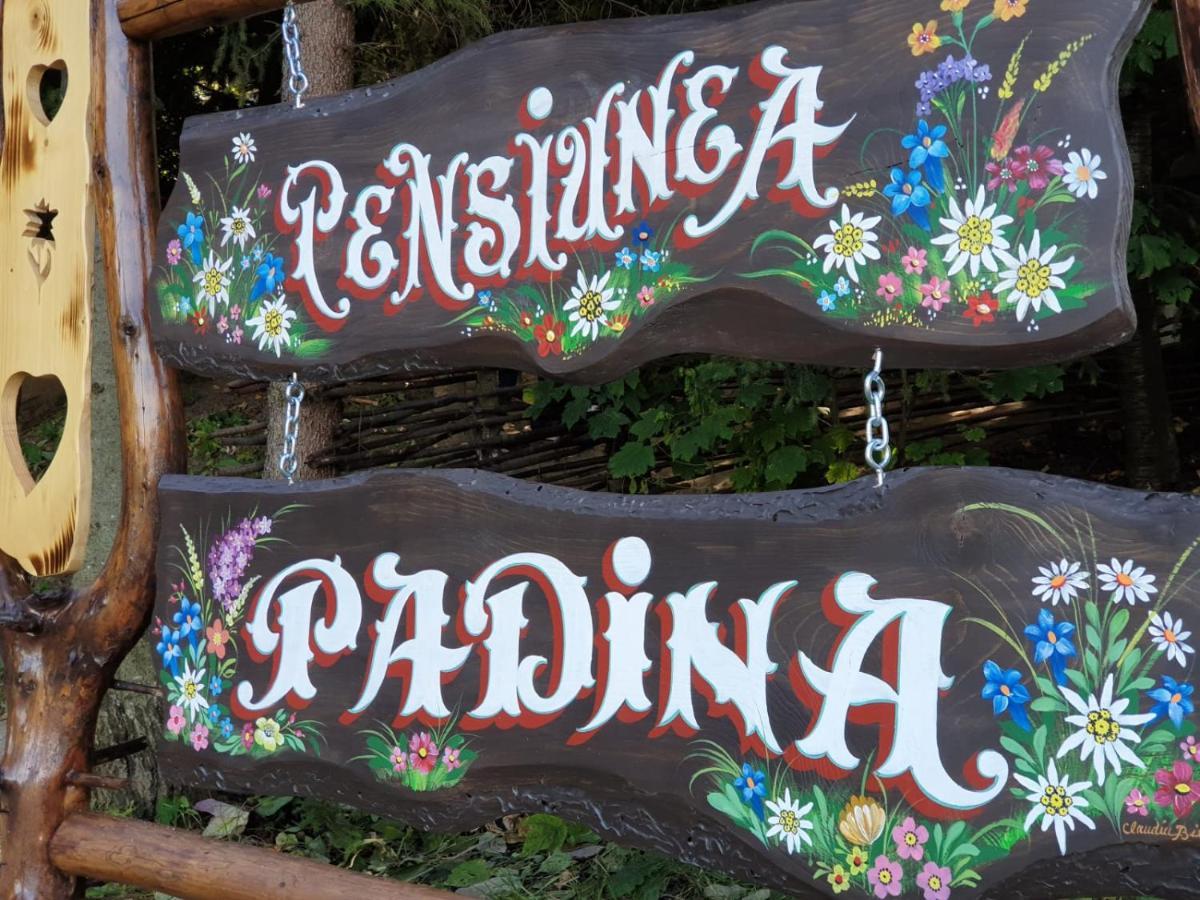 Pensiunea Padina Bran  Dış mekan fotoğraf