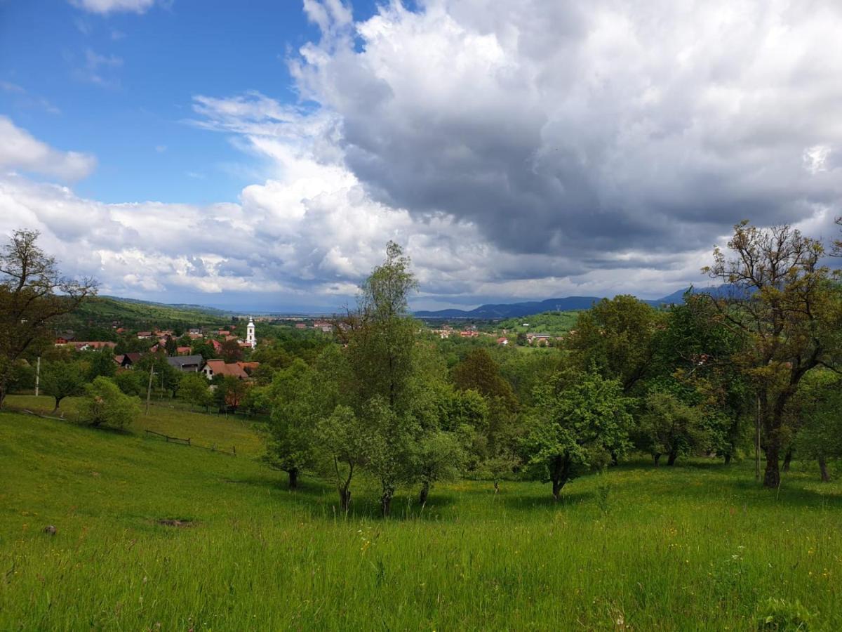 Pensiunea Padina Bran  Dış mekan fotoğraf