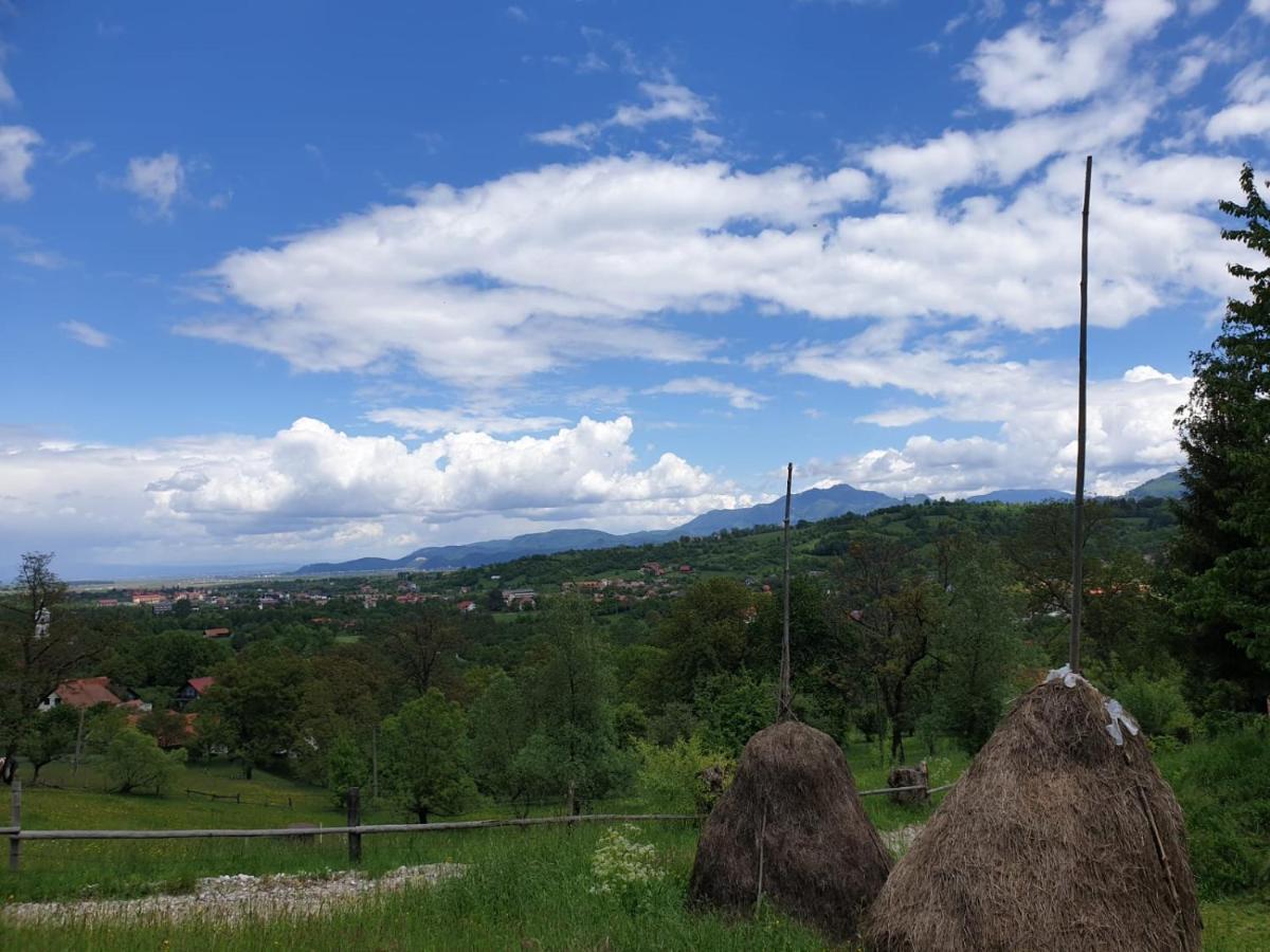 Pensiunea Padina Bran  Dış mekan fotoğraf