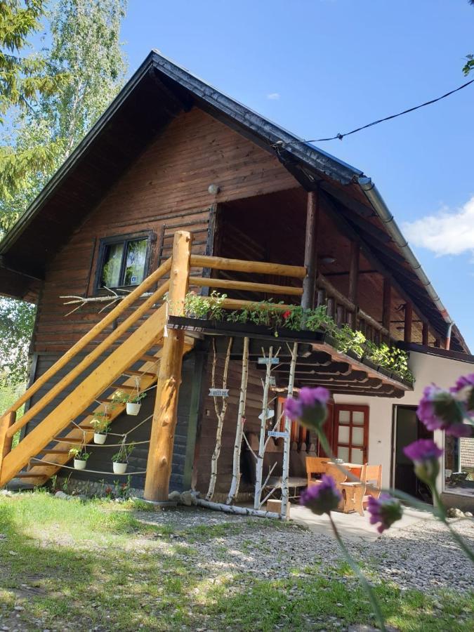 Pensiunea Padina Bran  Dış mekan fotoğraf
